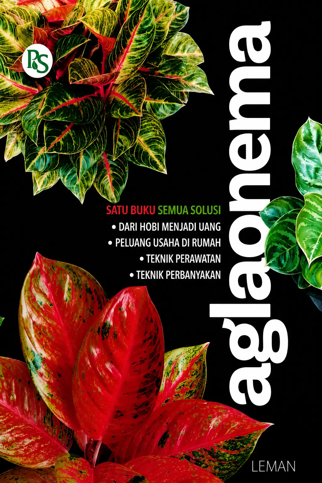 Satu Buku Semua Solusi Aglaonema