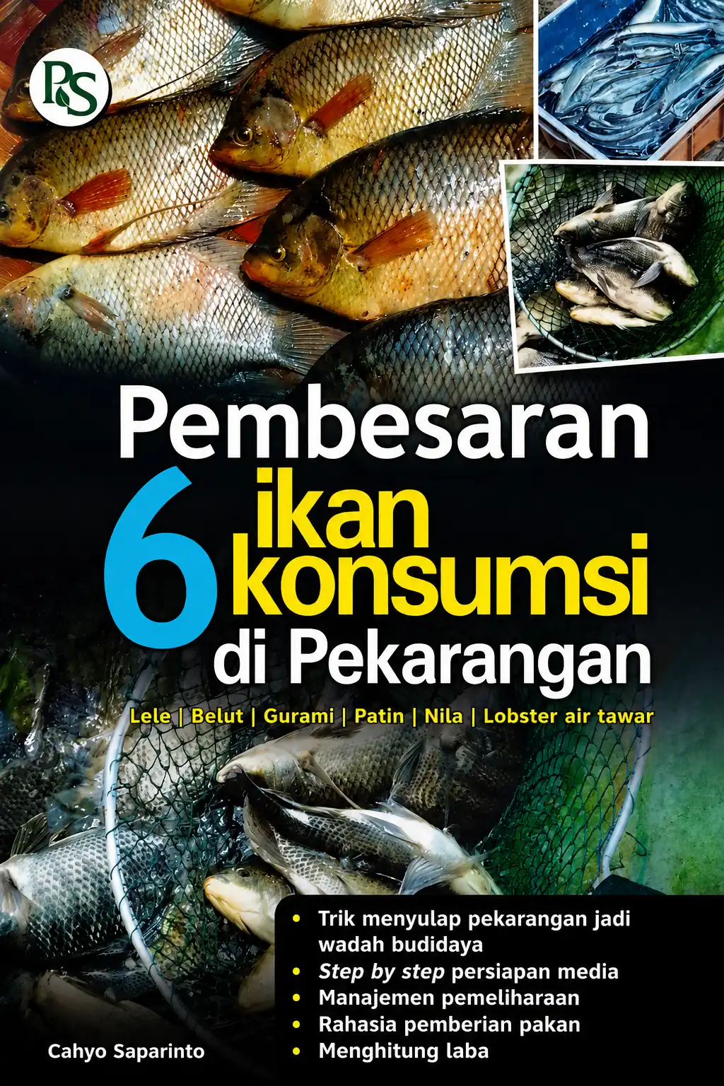 Pembesaran 6 Ikan Konsumsi di Pekarangan