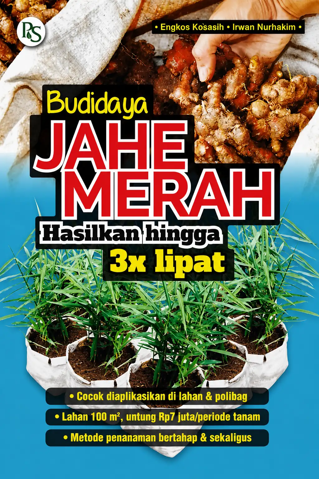 Budidaya Jahe Merah Hasilkan hingga 3X Lipat