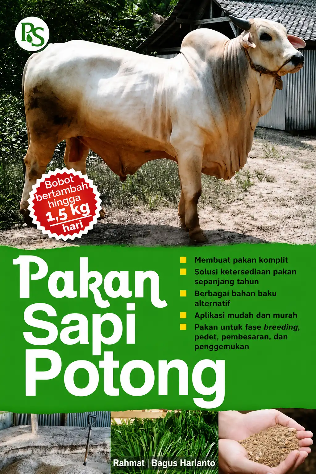 Pakan Sapi Potong