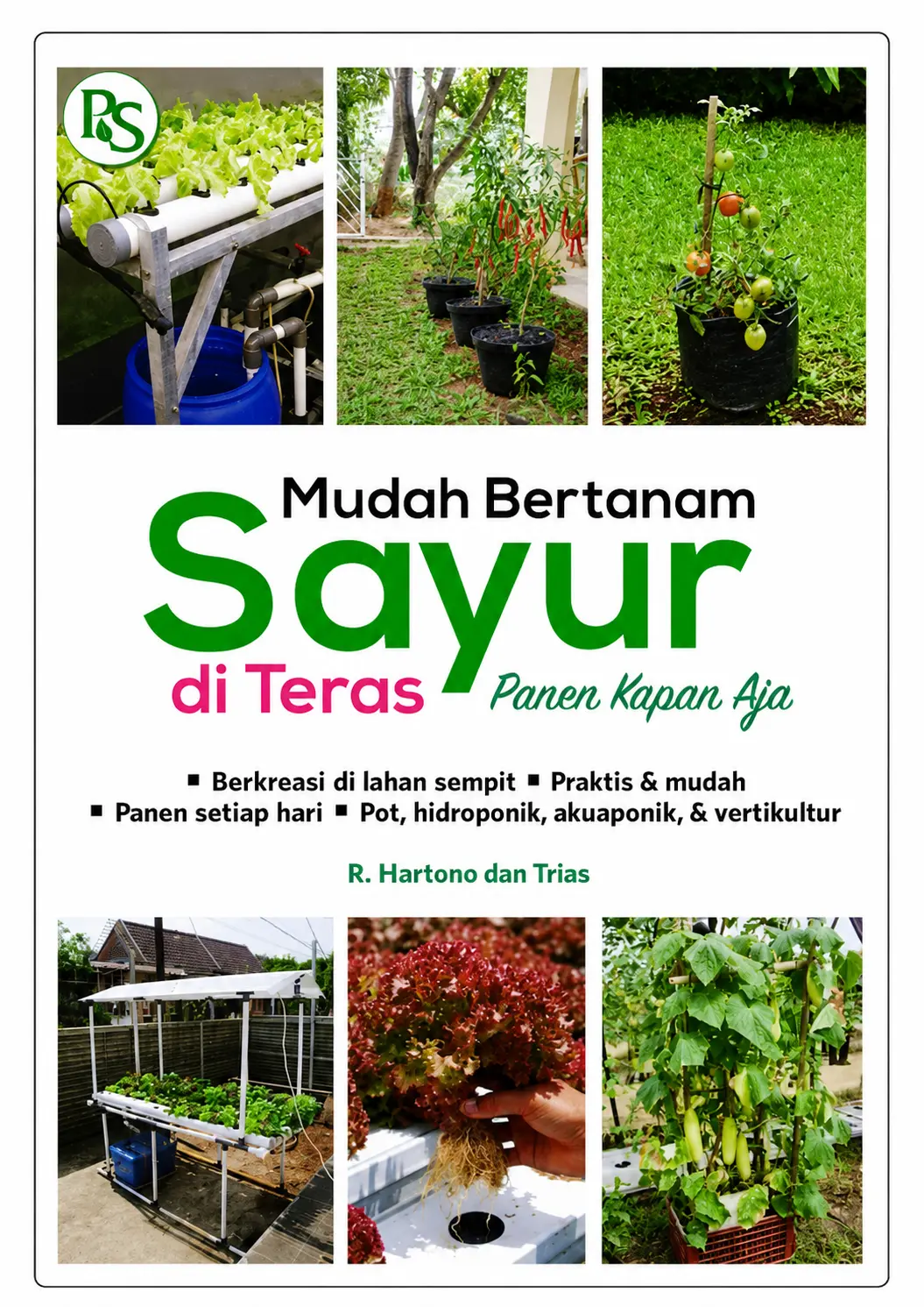 Mudah Bertanam Sayur di Teras Panen Kapan Aja