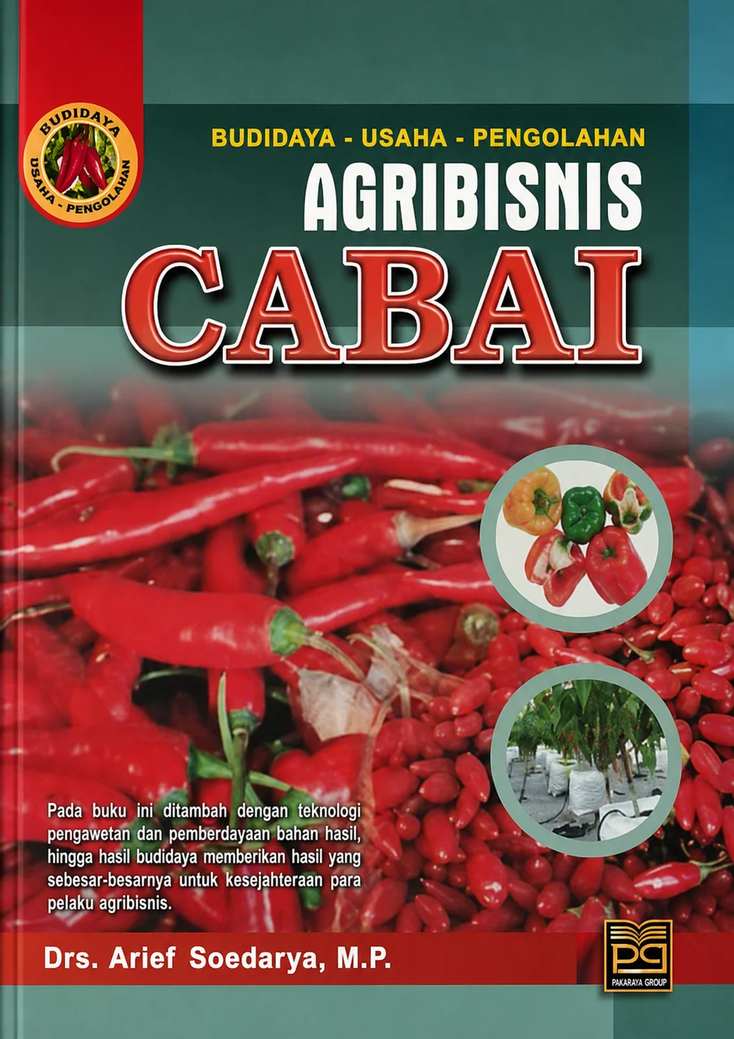 Budidaya Usaha Pengolahan Agribisnis Cabai